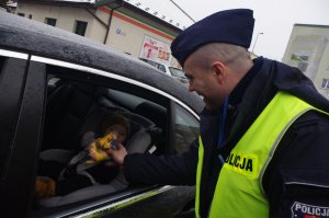policjant wręcza maskotkę w tle miasto