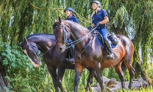 policjanci na koniach w tle drzewa