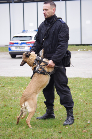 policjant z psem służbowym w tle teren zewnętrzy komendy