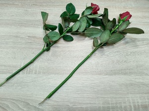 dwie róże na blacie stołu