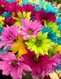 bukiet kolorowych kwiatów w wiązance