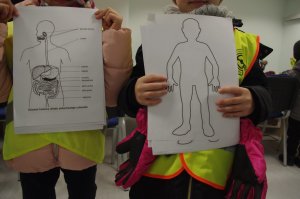 ilustracje z organami człowieka,  w tle dzieci w kamizelkach odblaskowych