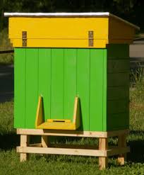 żółto- zielony ul pszczeli, w tle trawa