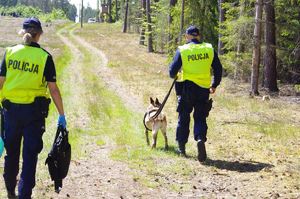 policjanci z psem służbowym, w tle droga leśna
