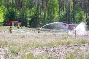 strażacy gaszą pożar w tle las