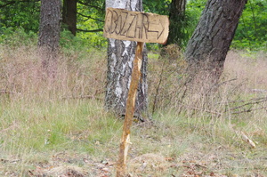 oznaczone miejsce dojazdu do obozu w tle las