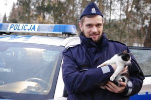 policjant trzyma na rękach kotka, w tle radiowóz