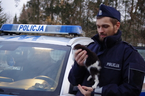 policjant trzyma na rękach kotka, w tle radiowóz