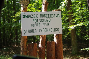 policjantka i strażak kontrolują obóz pod namiotami  w tle las i namioty