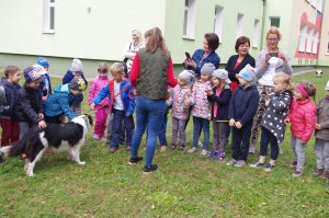 Bezpieczny pies= Bezpieczny przyjaciel