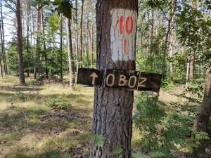 napis na tabliczce obóz przywiązany do drzewa