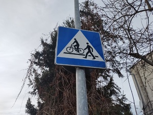 znak drogowy na tle drzewa