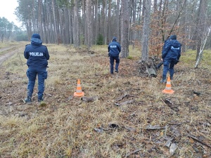 policjanci idą terenem leśnym