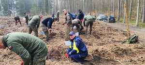 policjanci i inne służby sadzą młode drzewka w tle las i inne ososby