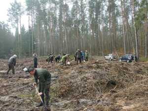 policjanci i inne służby sadzą młode drzewka w tle las i inne ososby
