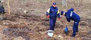policjanci i inne służby sadzą młode drzewka w tle las i inne ososby