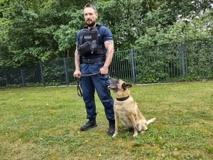 policjant trzyma psa służbowego na smyczy w tle zieleń