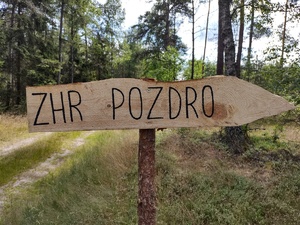służby wizytują obóz harcerski w tle las i namioty