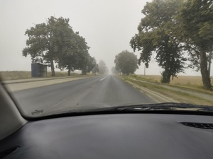 mgła na drodze w tle ulica i las