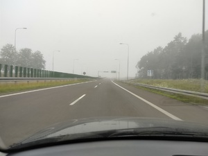 mgła na drodze w tle ulica i las