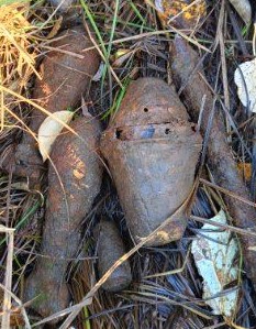 granatnik w tle trawa