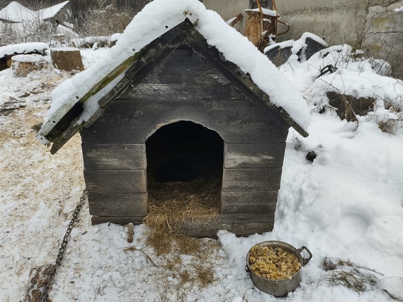 buda dla psa w tle zima