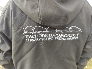 strażacy ratują żubra, który utknął na jeziorze w tle las