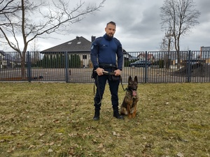 wspólne zdjęcie przewodnika i psa