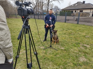 przewodnik i pies przed telewizyjną kamerą w tle ogrodzenie za nim zabudowania