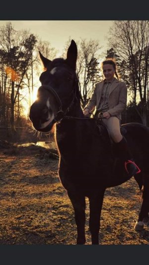 policjantka w cywilnym ubraniu na koniu, w tle las